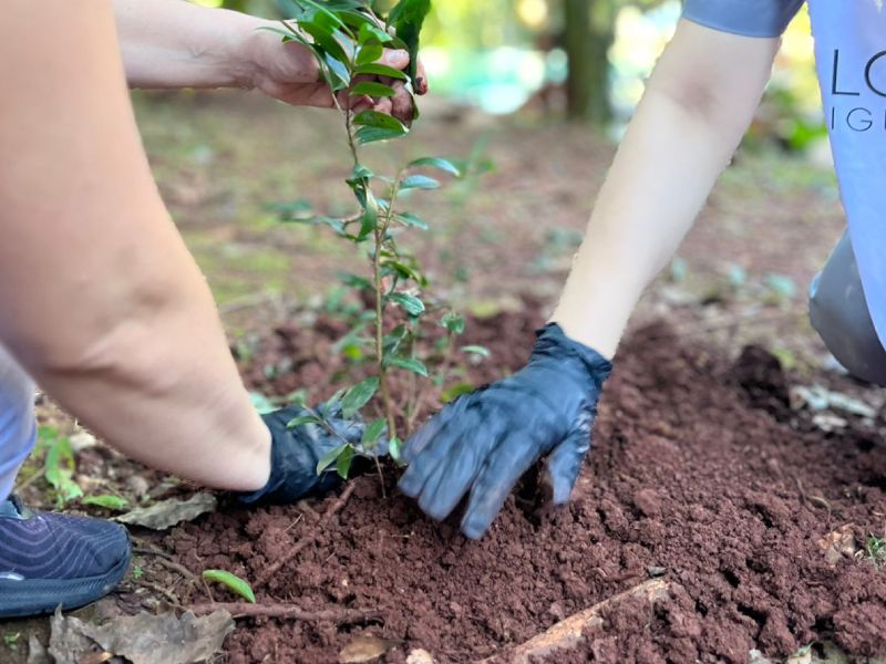 Sustainable travel experience at Loi Suites Hotels